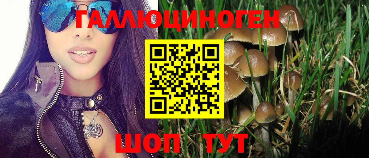 Псилоцибиновые грибы ЛСД Кирово-Чепецк